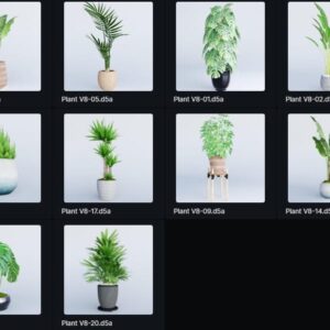 مجموعه گیاهان دکوری آپارتمانی
