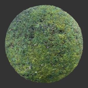 تکسچر چمن طبیعی واقع‌گرا