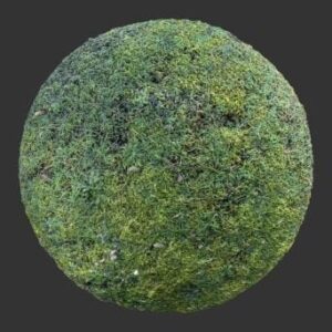 تکسچر چمن طبیعی PBR