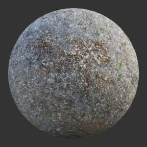 تکسچر زمین جنگلی رطوبتی