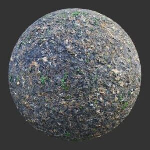 تکسچر زمین جنگلی طبیعی