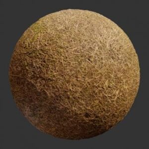 تکسچر چمن خشک واقع‌گرایانه
