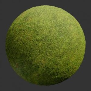 تکسچر چمن طبیعی سابستنس